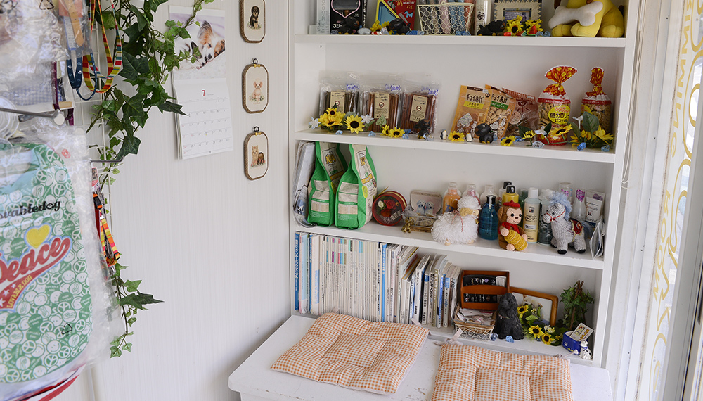 わんわん美容室 ポケット