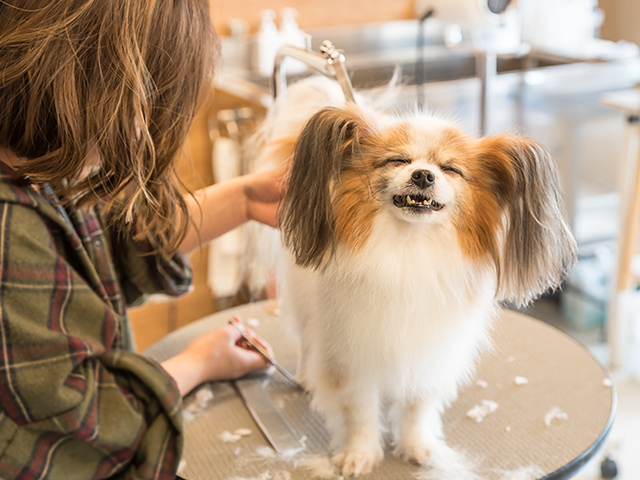理想のスタイルを実現します