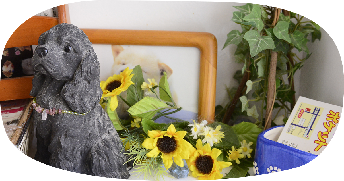 わんわん美容室　ポケット