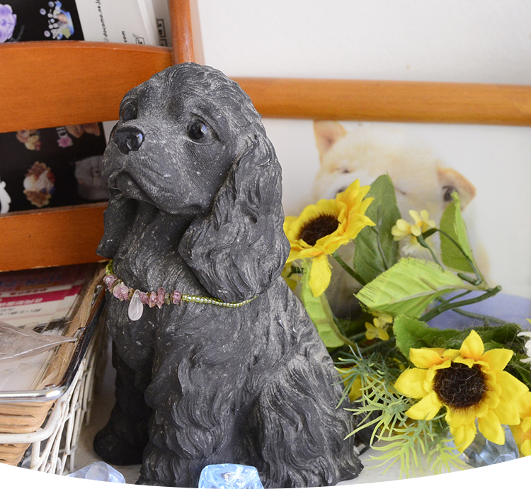 わんわん美容室　ポケット